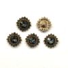 Steampunk Knopf 5, 5er Set