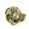 Steampunk Ring 101